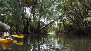 Vereda en Kayak por Río Sabana en Luquillo